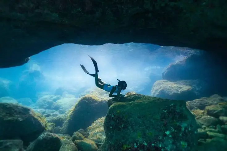 kehidupan dalam laut